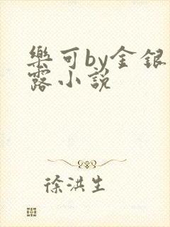 乐可by金银花露小说