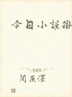 今日小说排行榜封面