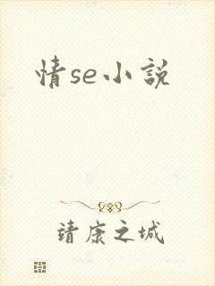 情se小说