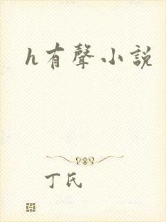 h有声小说