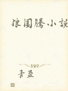 狼图腾小说封面