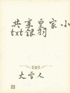 共享皇家小公主txt银羽