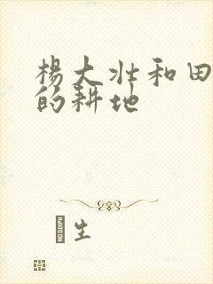 杨大壮和田桂花的耕地封面