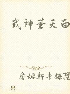 武神苍天白鹤封面