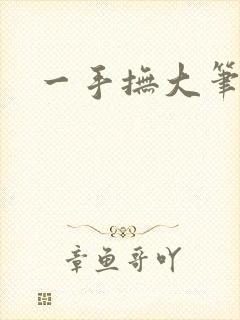 一手抚大笔趣阁