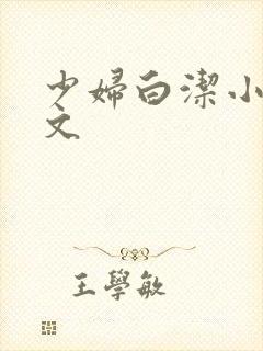 少妇白洁小说全文封面