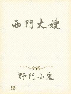 西门大嫂封面