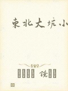 东北大坑小说