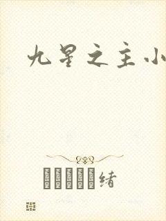 九星之主小说