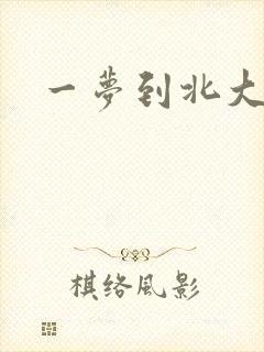 一梦到北大封面