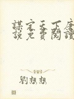 谋定天下唐诚小说免费阅读封面