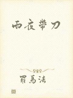 雨夜带刀封面