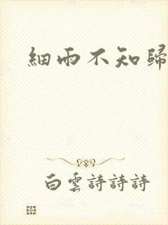 细雨不知归封面