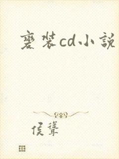 变装cd小说封面