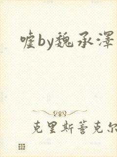 嘘by魏承泽封面