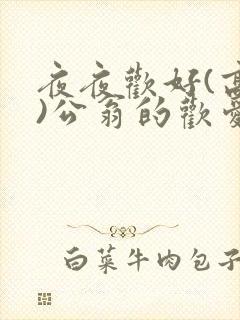 夜夜欢好(高h)公翁的欢爱