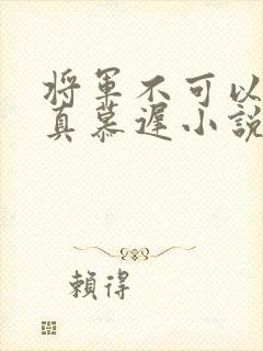 将军不可以魏云真慕迟小说笔趣阁封面