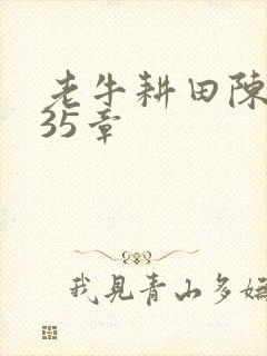 老牛耕田陈雪435章