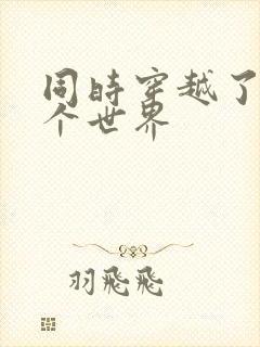 同时穿越了99个世界