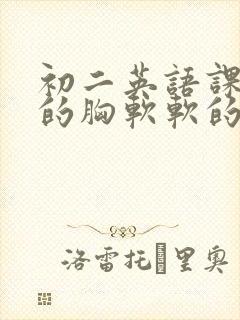 初二英语课代表的胸软软的封面