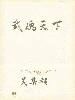 武魂天下