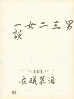 一女二三男事小说