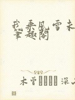 我乘风雪未删减笔趣阁封面