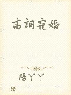 高调宠婚封面