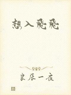 想入飞飞封面