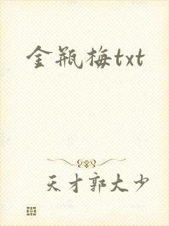 金瓶梅txt封面