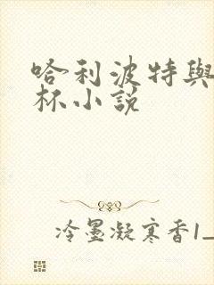 哈利波特与火焰杯小说封面