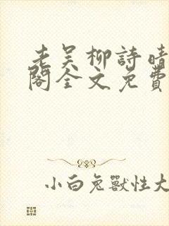 老吴柳诗晴笔趣阁全文免费阅读封面