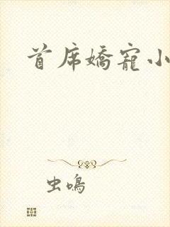 首席娇宠小情人