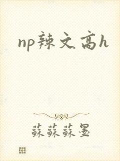 np辣文高h
