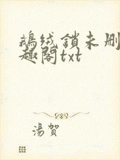 鹅绒锁未删除笔趣阁txt