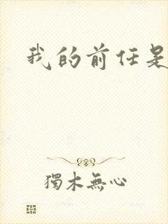 我的前任是极品封面