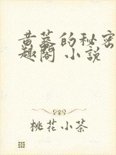 黄蓉的秘密 笔趣阁 小说