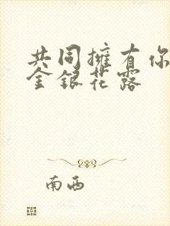 共同拥有你by金银花露