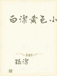 白洁黄色小说