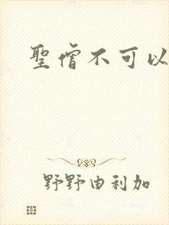 圣僧不可以封面