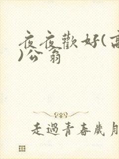 夜夜欢好(高h)公翁
