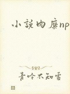 小说肉糜np