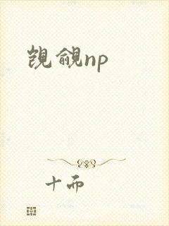 觊觎np