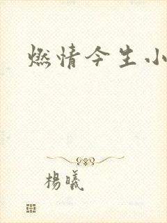 燃情今生小说
