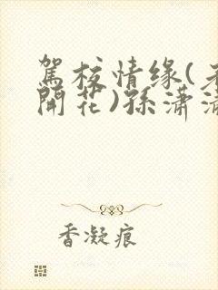 驾校情缘(老树开花)孙潇潇第一次趣笔阁