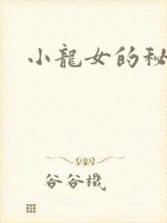 小龙女的秘密封面