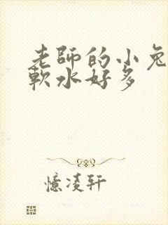 老师的小兔子好软水好多