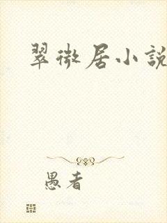 翠微居小说封面