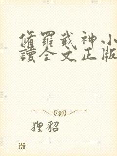 修罗武神小说阅读全文正版