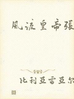 风流皇帝张无忌